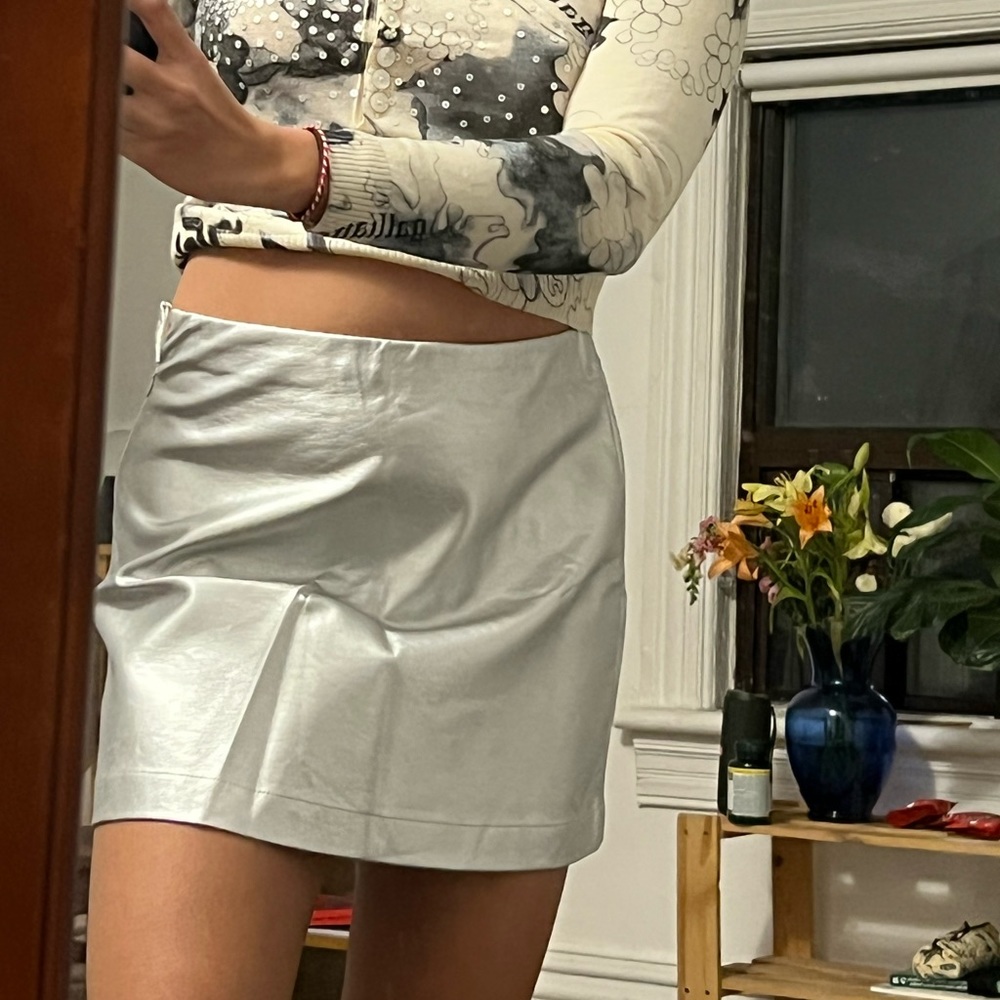 Silver Skirt